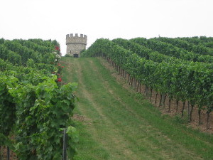 Неділя13 по П'ятидесятниці