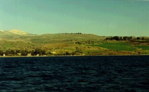 Місце примноження хлібів