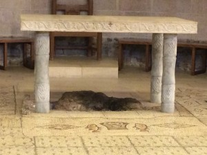 Pent 8-12 floor with rock 2