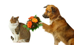 post прощена-17