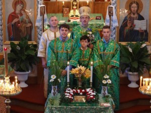 Вівтарна дружина